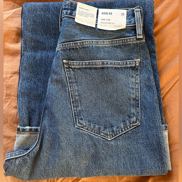 AGOLDE Dame High Rise Wide Leg - Picture 12 of 12